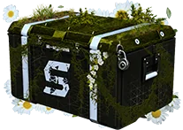 Spring Crate
